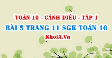 Bài 5 trang 11 SGK Toán 10 tập 1 Cánh Diều